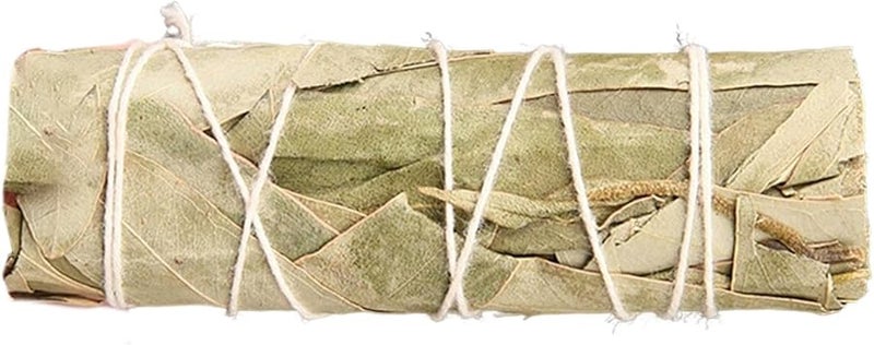 أعواد البخور من الأوكالبتوس 4 بوصات، عطر طبيعي، تنقية الهواء، تخفيف التوتر، تأمل منزلي - Image 1